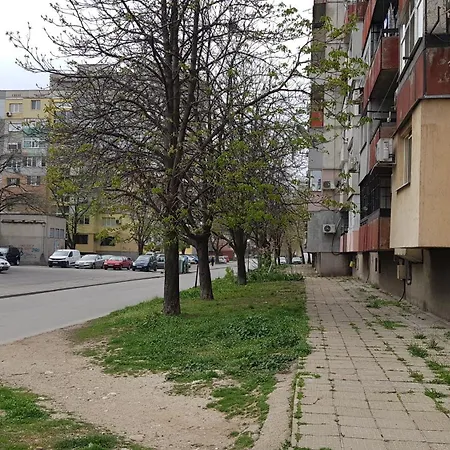 за гости краси *