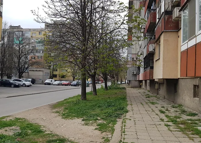 за гости краси *